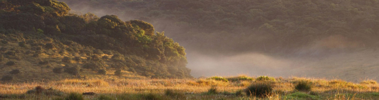 Horton Plains